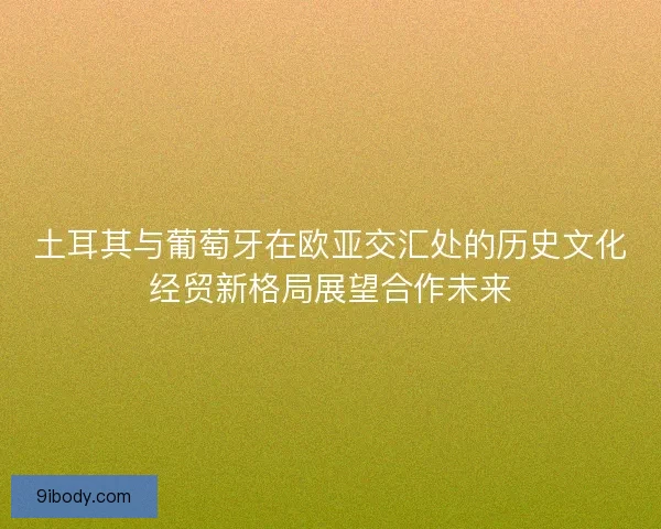土耳其与葡萄牙在欧亚交汇处的历史文化经贸新格局展望合作未来