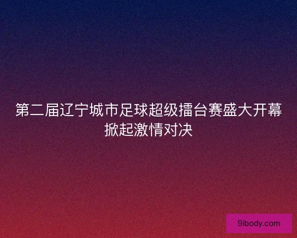 第二届辽宁城市足球超级擂台赛盛大开幕掀起激情对决